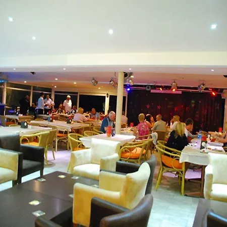 Hotel Lion